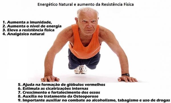 Energético Natural e Resistência Física caixa c/ 30 sachês